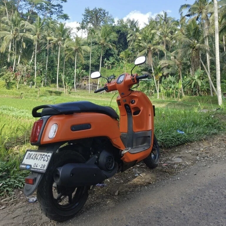 Arrived in Bali and want to rent a scooter?