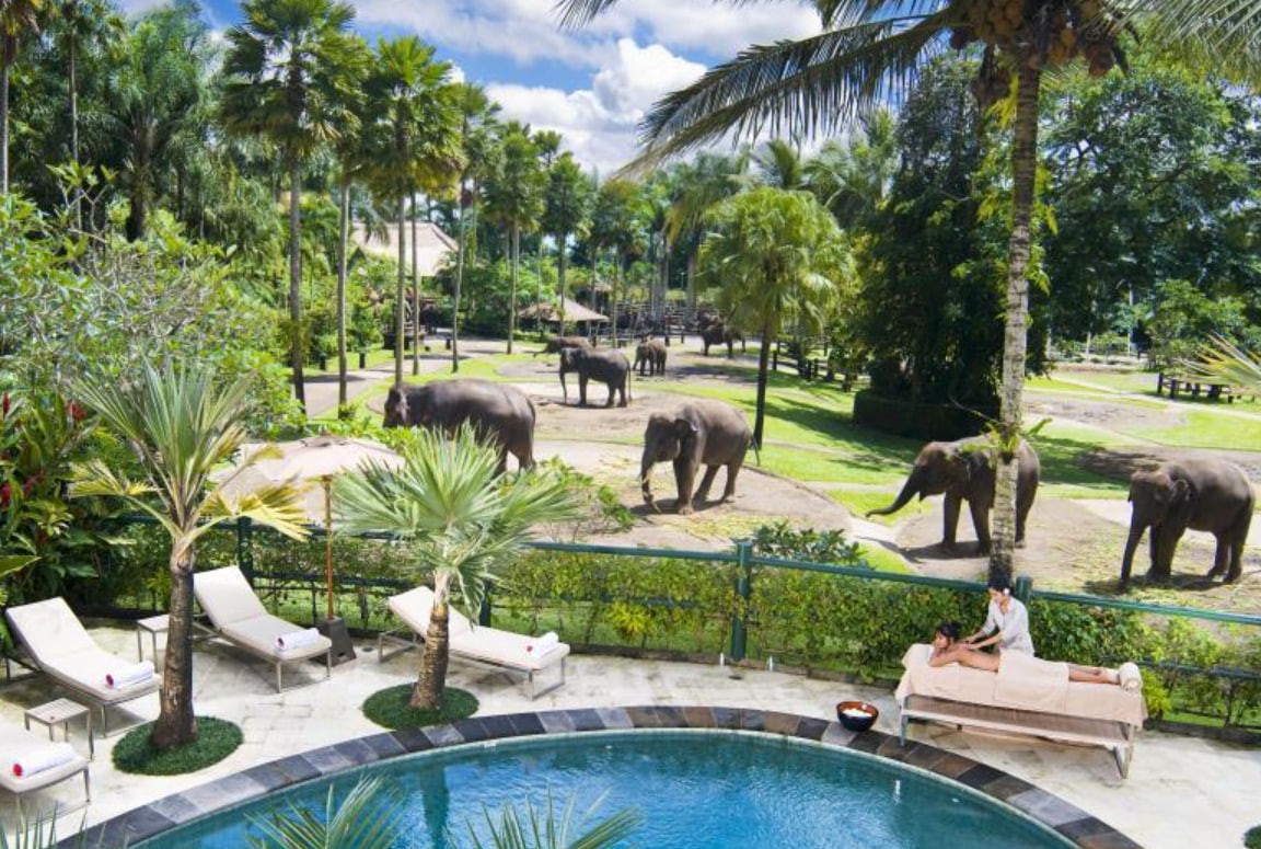 Elephant Safari Park Lodge Bali in Taro village