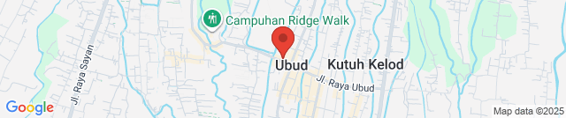 A trail through the rice paddies on Cajeng Street