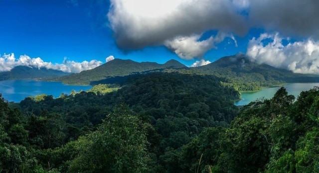 Buyan Lake in Tabanan