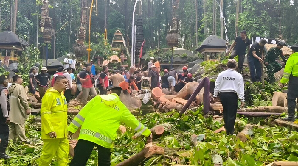 Tragedy in Sangeh: One Dead After Tree Collapse