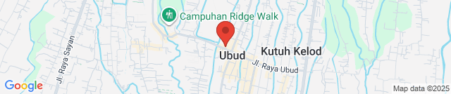 A trail through the rice paddies on Cajeng Street