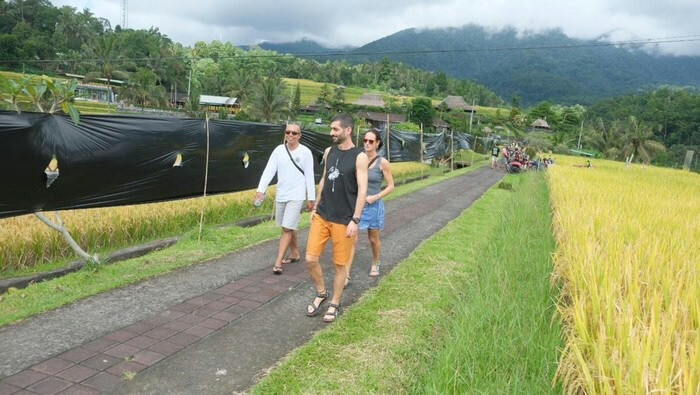 Jatiluwih Dispute: Farmers Shut Off Views in Protest