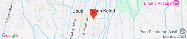 Tree of Chocolate by Adriana