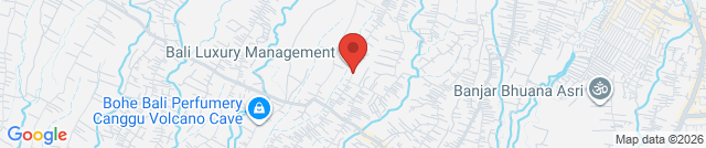 Tropical laundry- laundromat