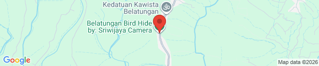 Belatungan Hide by Sriwijaya Camera