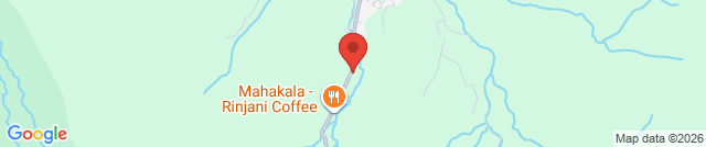 Strawberry Shops And Plantation