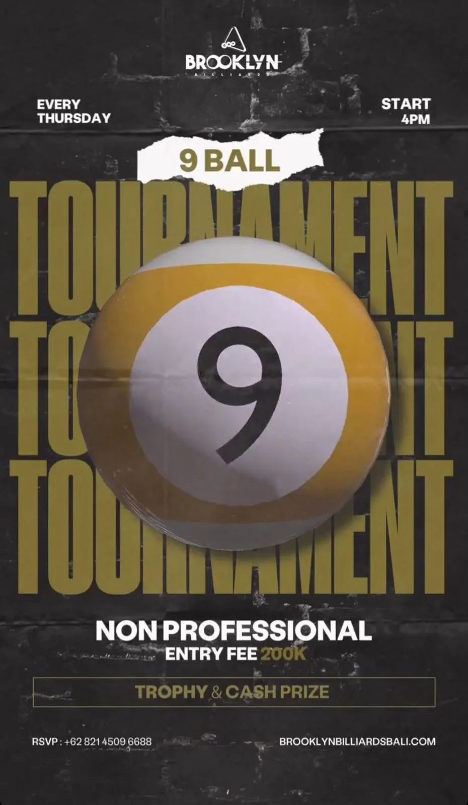 Sport 9 Ball Tournament 4511