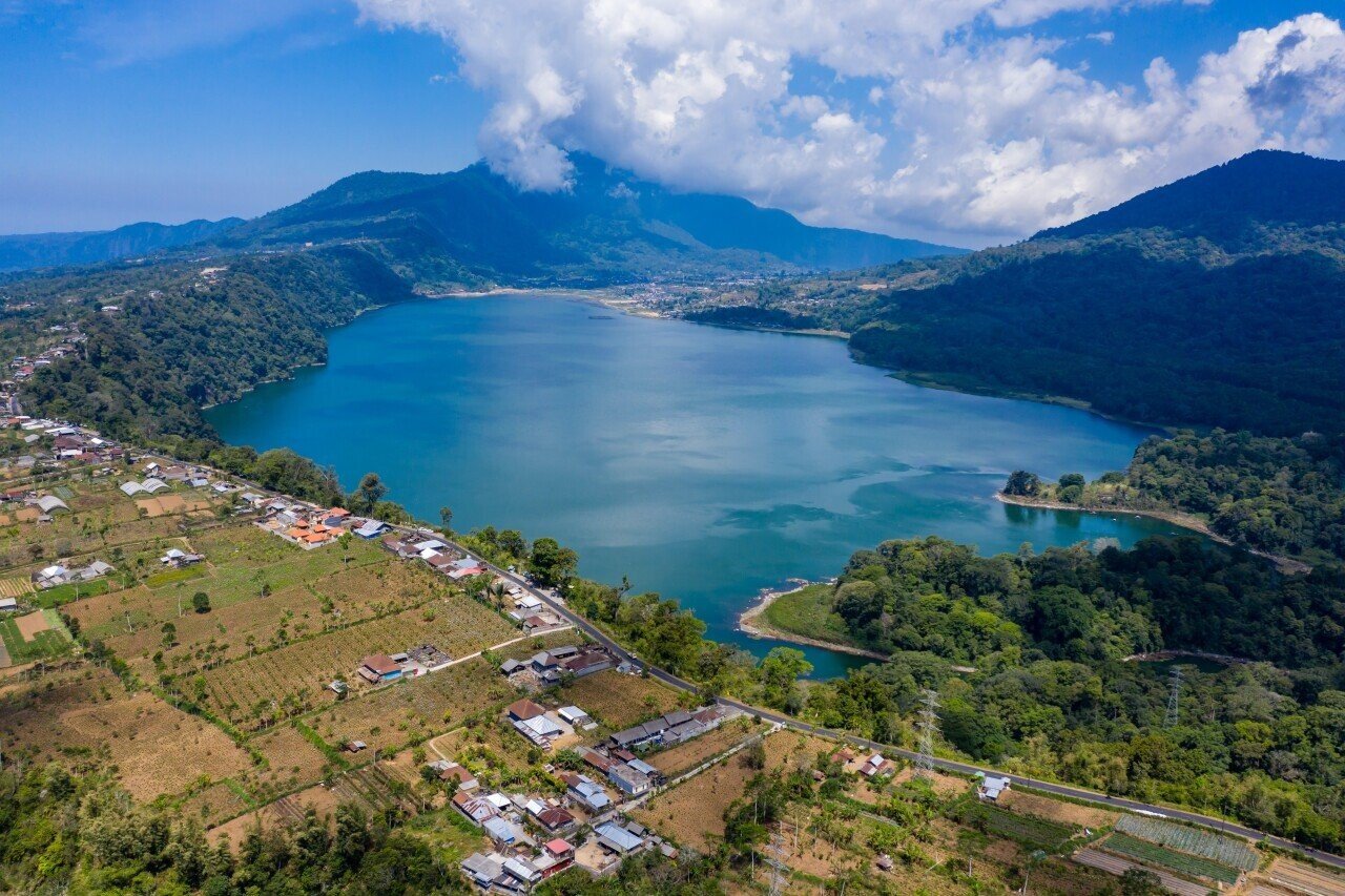 $1,200 Lesson: Avoid This Bali Forest Mistak