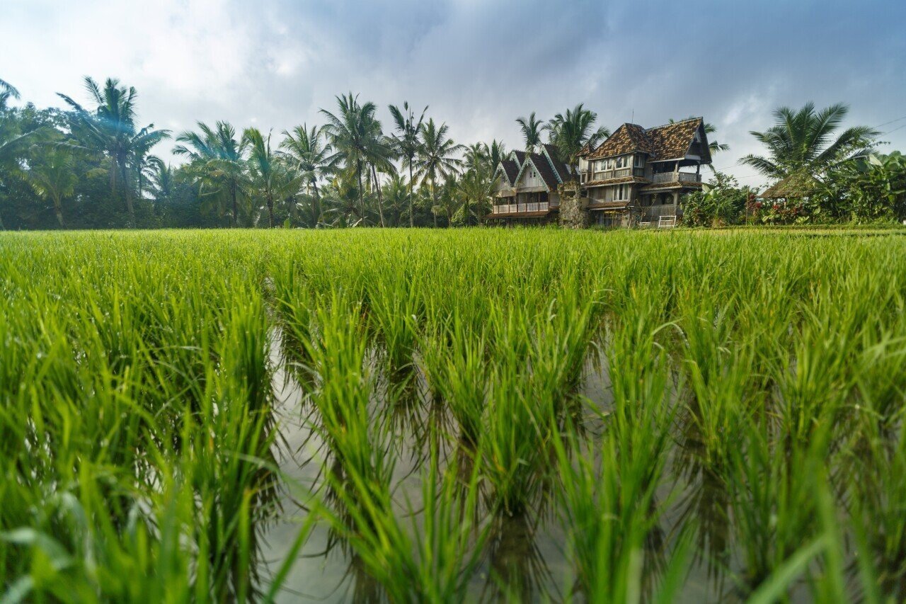 Could Bali Be One of the Safest Places if the World Goes Wrong?