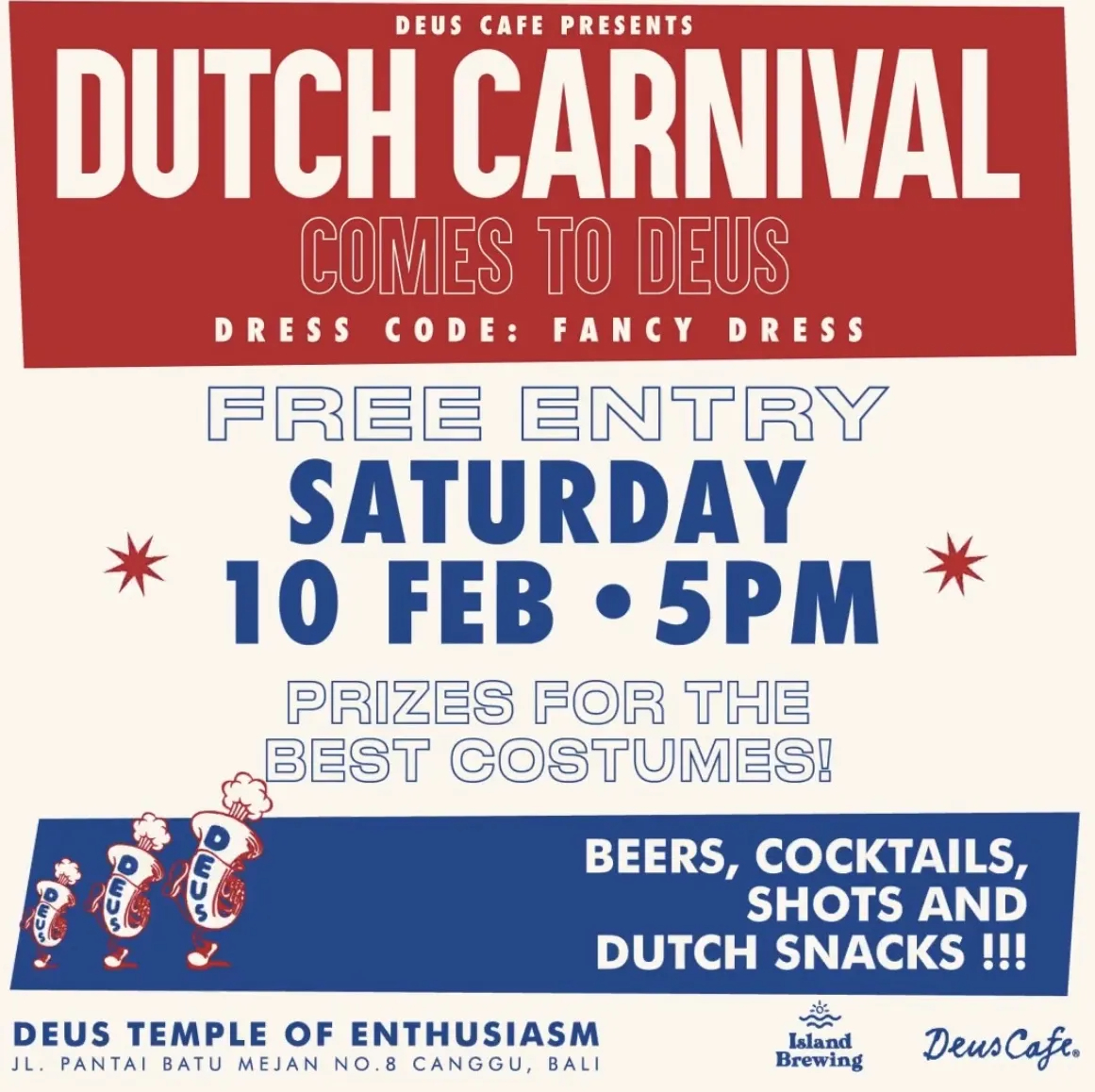 Party Dutch Carnival 11312