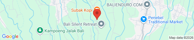 New Earth Cooking School