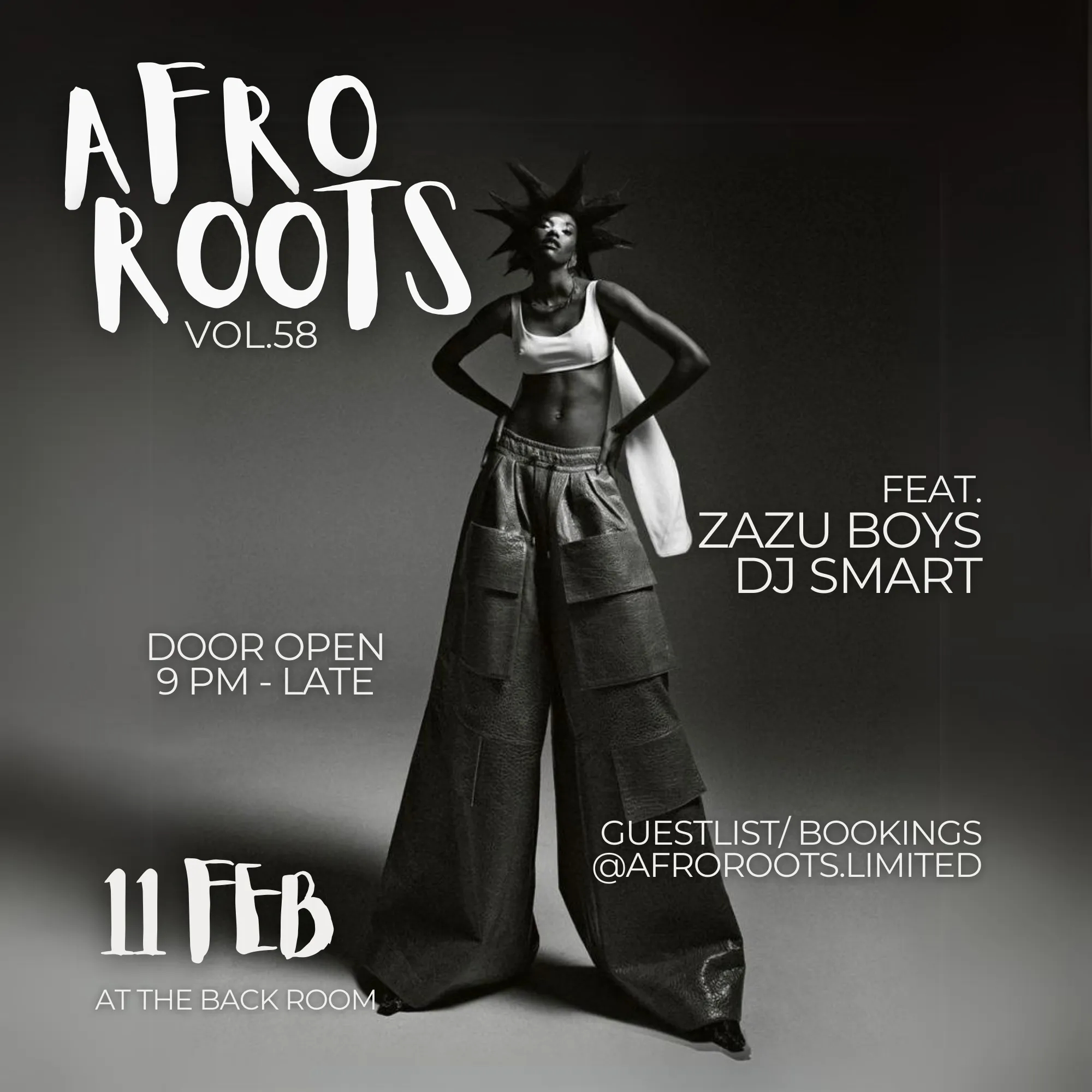 Party Afro Roots 13820