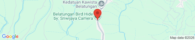 Belatungan Hide by Sriwijaya Camera