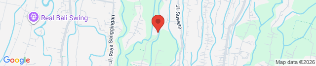 Path Through the Rice Fields