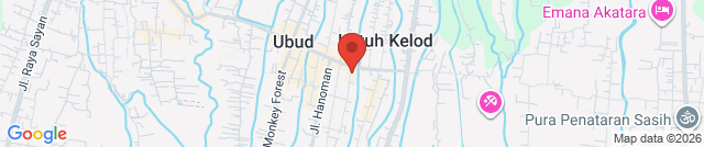 Tree of Chocolate by Adriana