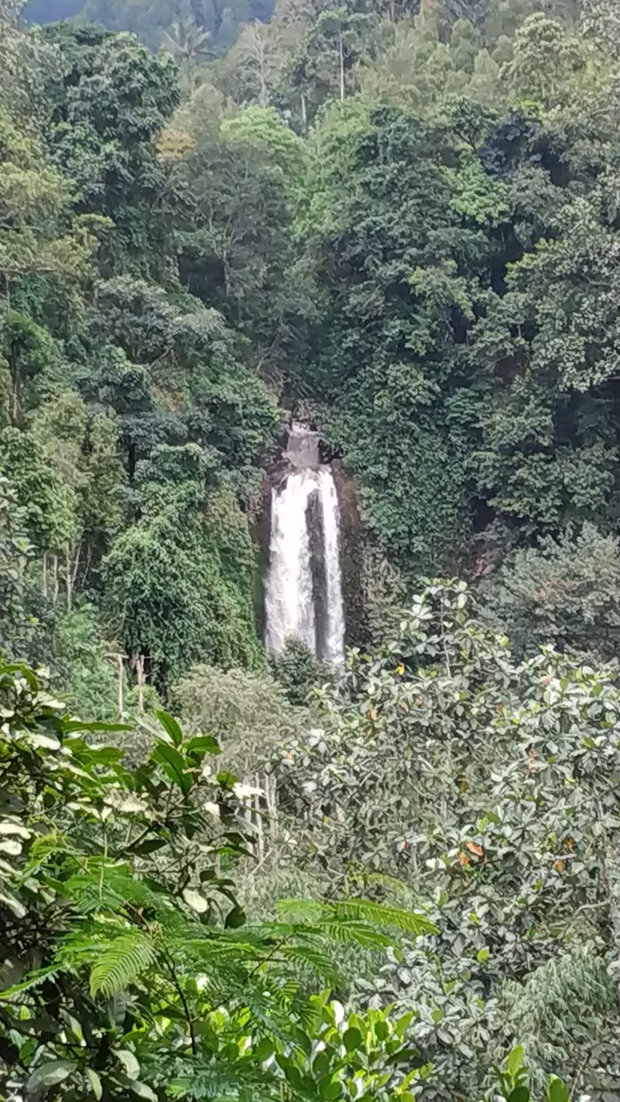 Gitgit Waterfall