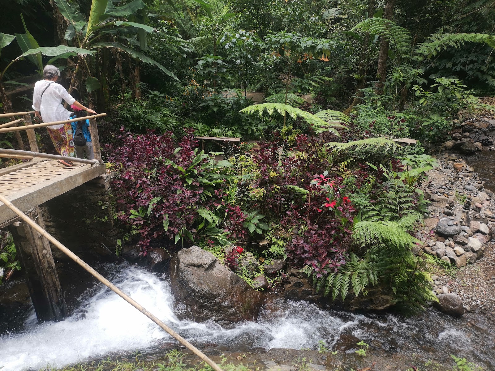Red Coral Waterfall or Munduk Waterfall