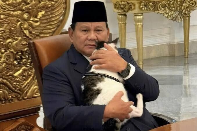 Bodyguards, Palaces, Billionaires: The Wild Life of Indonesia’s First Cat