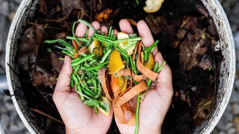 How to sort and recycle waste in Bali