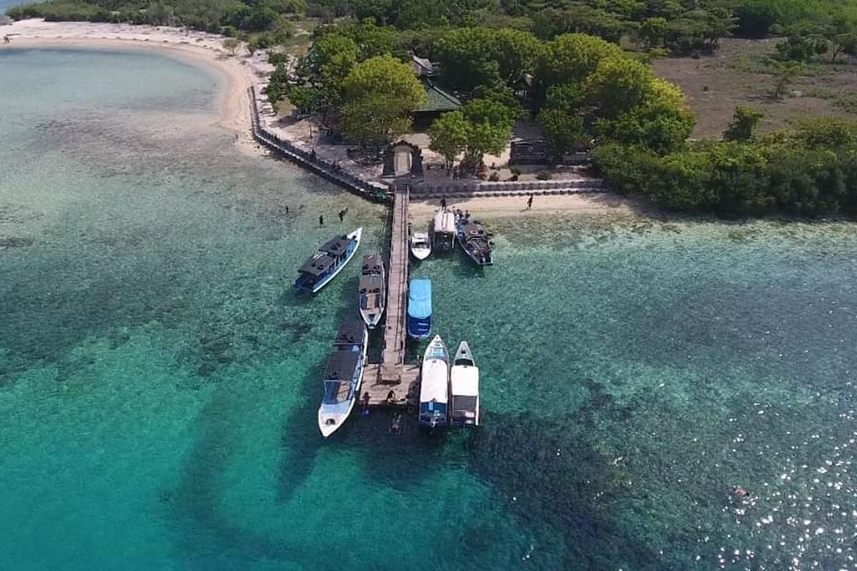 Menjangan Could Become Bali’s Tourism-Free Sanctuary