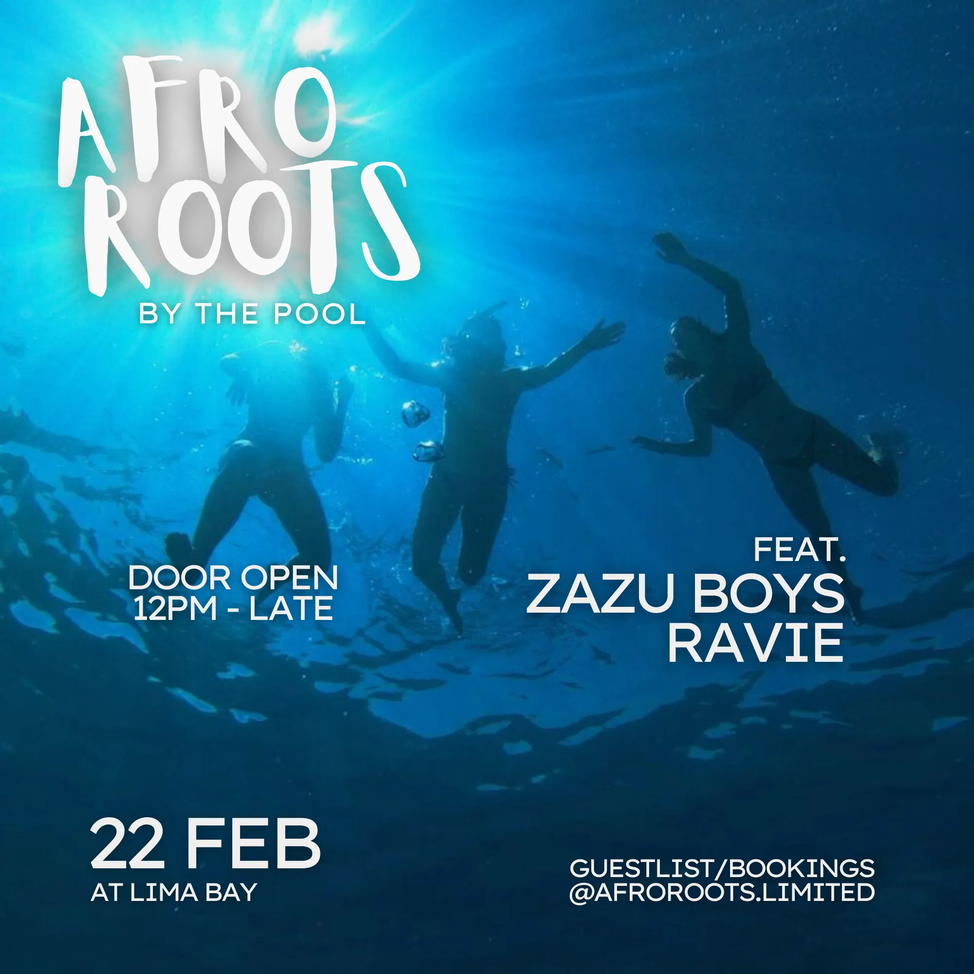 Party Afro Roots by The Pool 11017