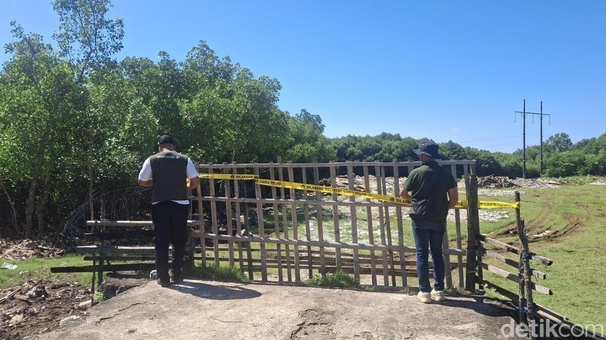 Environmental Agency Closes Plot Near Mangroves in Bali