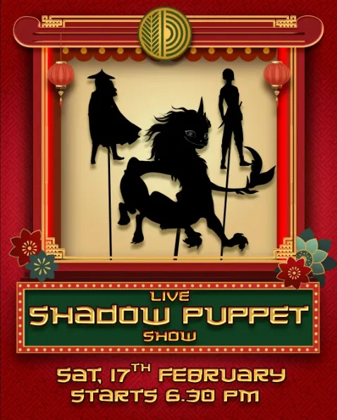 Family Live Shadow Puppet Show 13695