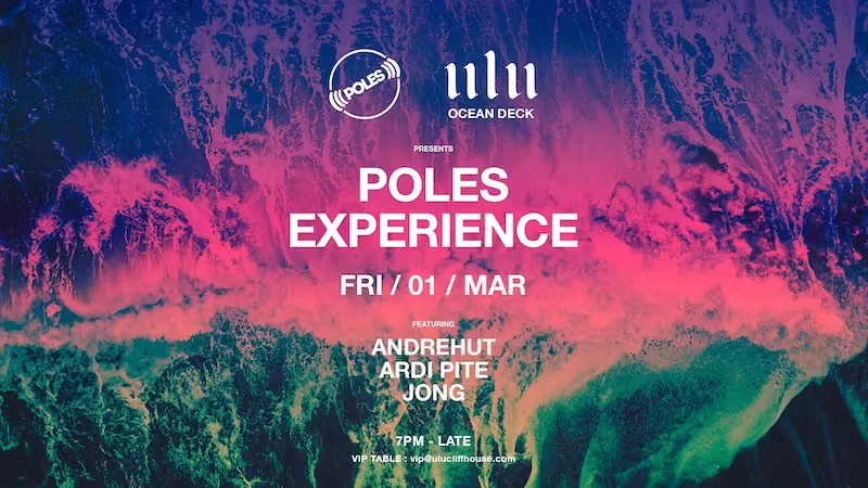 Party Poles Experience 11175