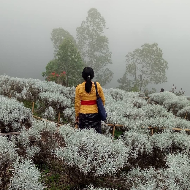 In Balinese patriarchal culture, women are always considered the "second fiddle”