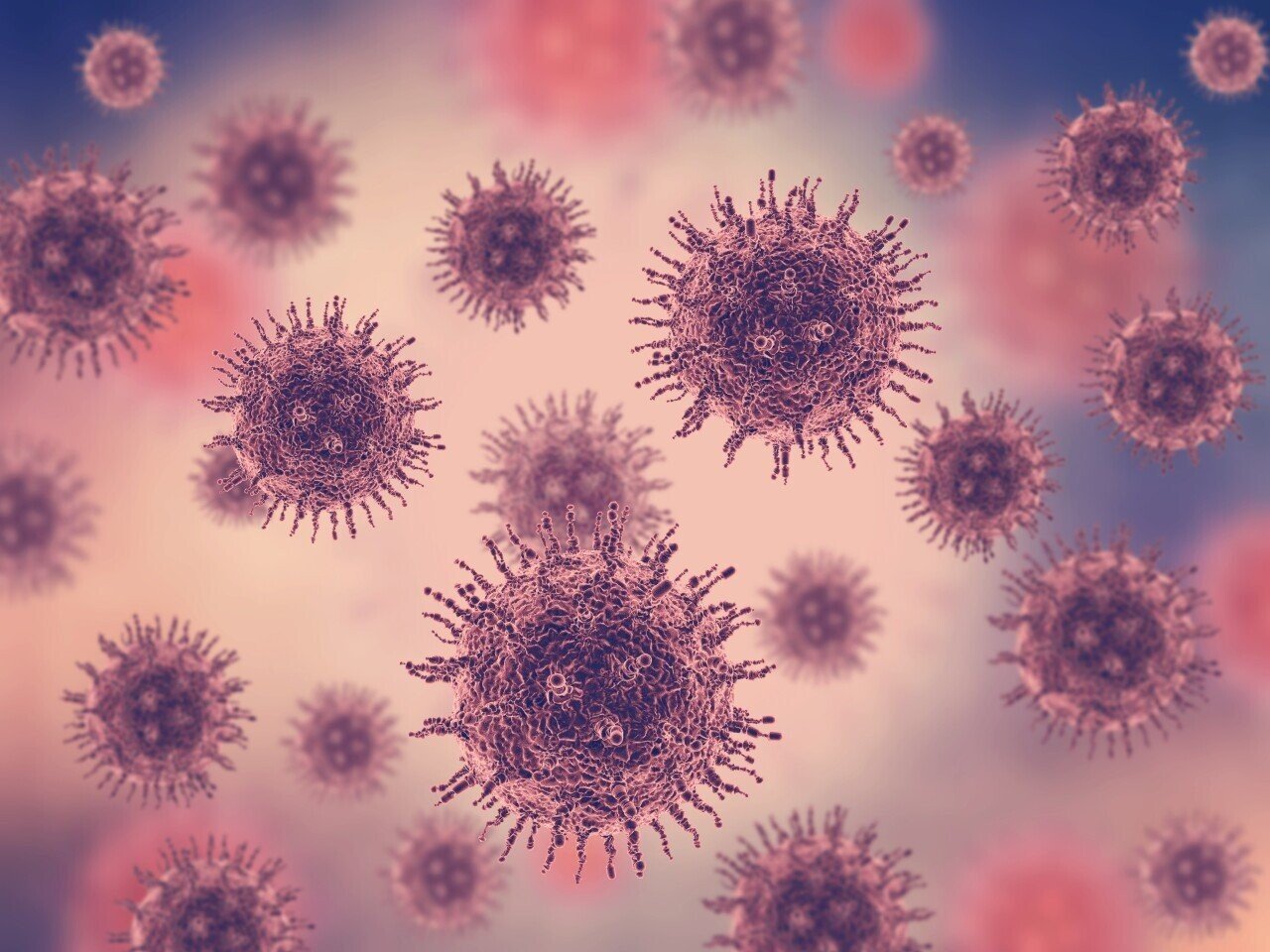 Three Hantavirus Cases Detected in Jakarta, None in Bali