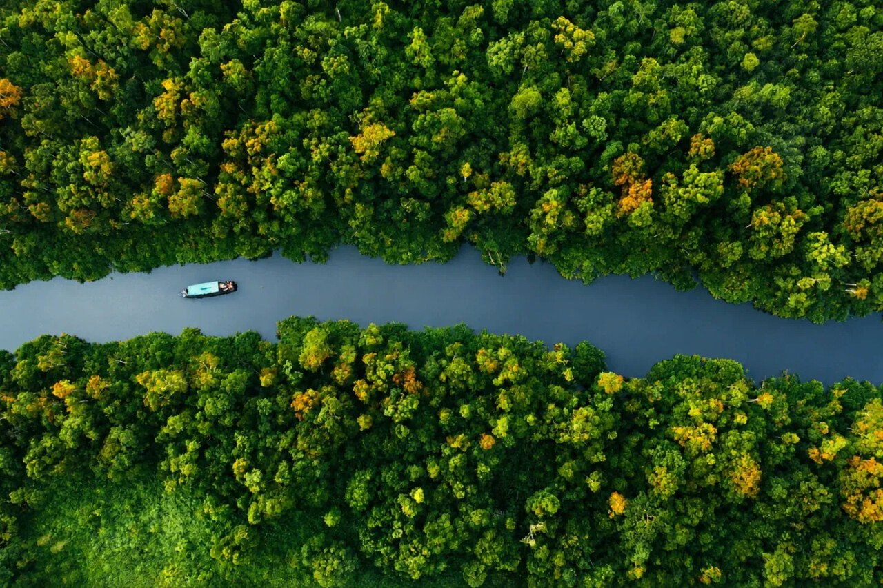 Best Time to Visit Borneo, Flores & Papua by Month