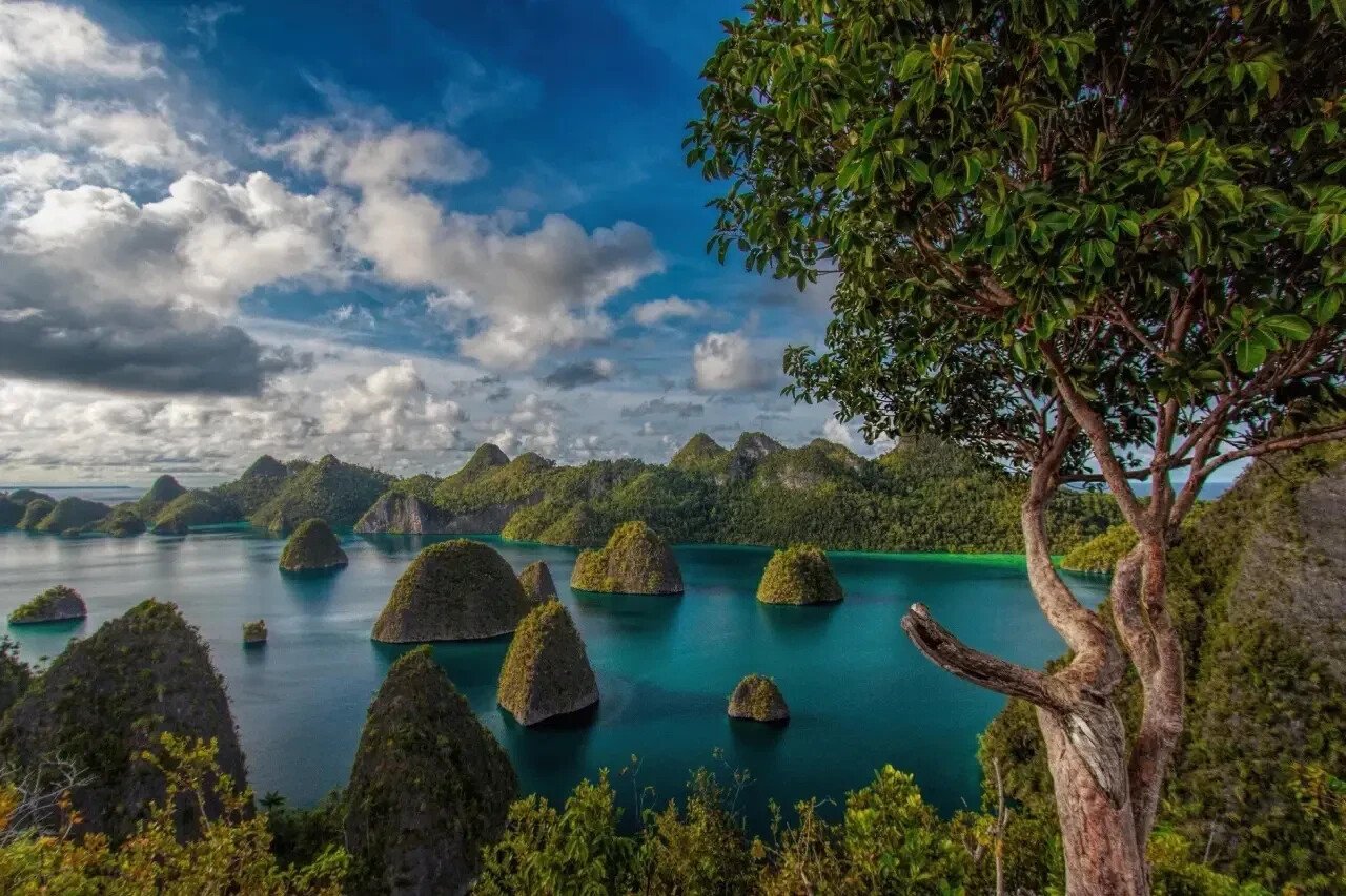 Raja Ampat: The Island Paradise Every Traveller Dreams Of