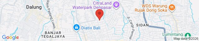 Baloon Bunga Party Shop