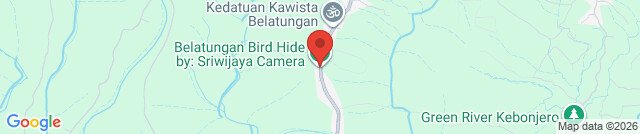 Belatungan Hide by Sriwijaya Camera
