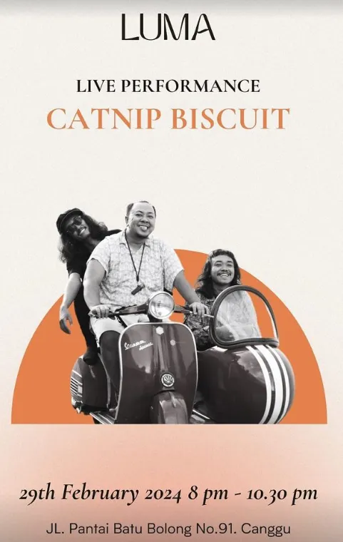 Music Catnip Biscuit: Live Performance 13746