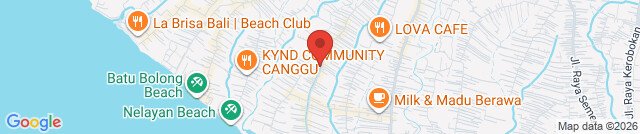The Shady Pig