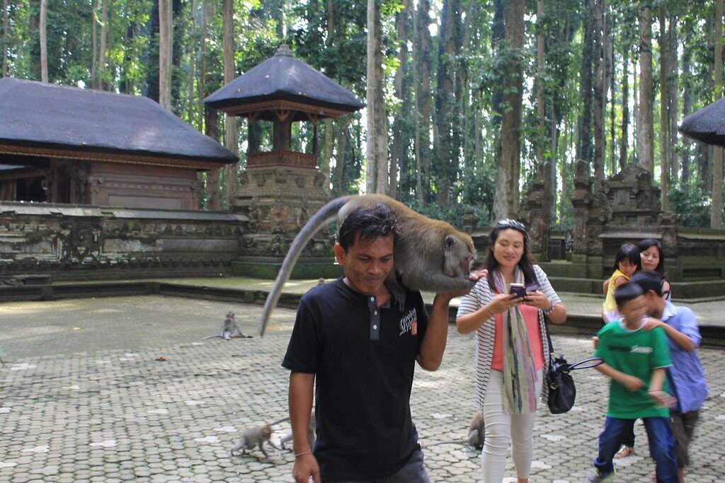 Sangeh Plans On-Site Rabies Vaccination Clinic