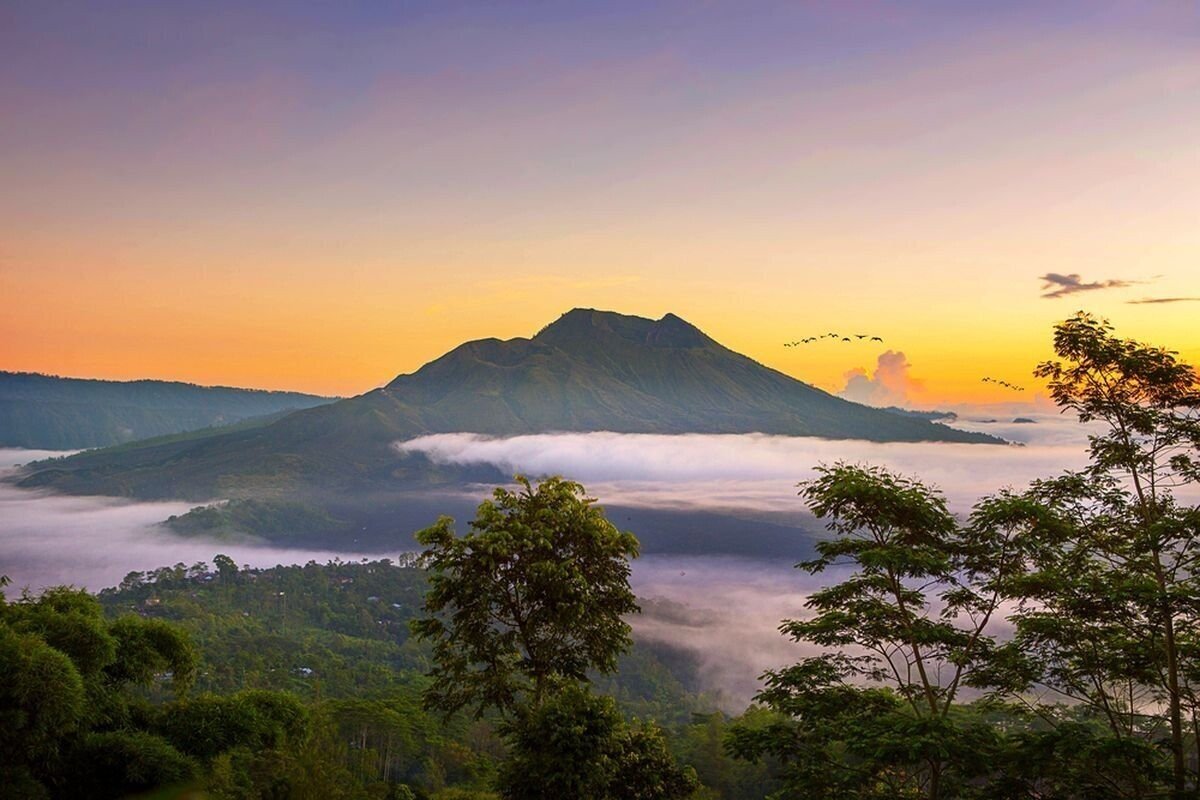 New Rules for Construction and Business in Kintamani