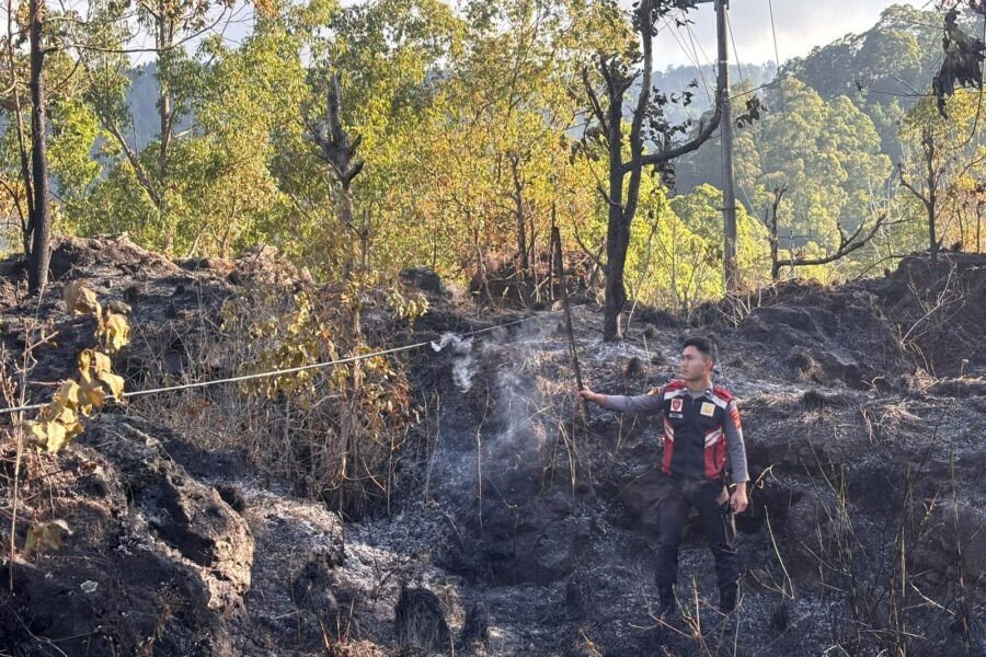 Wildfire Sweeps Through Protected Forest on Mount Batur