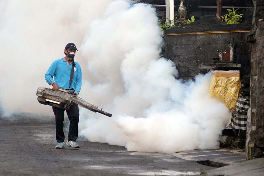 Bali Records Major Drop in Dengue Cases
