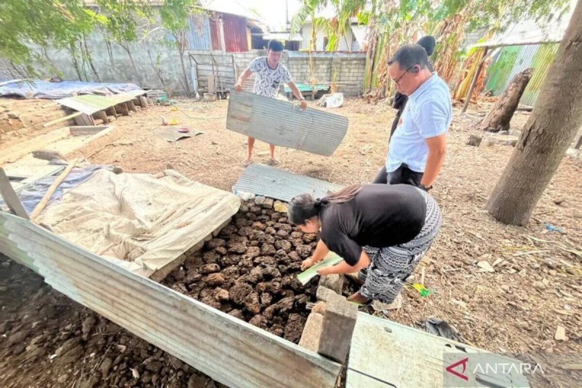 Police Bust Magic Mushroom Farm Supplying the Gili Islands