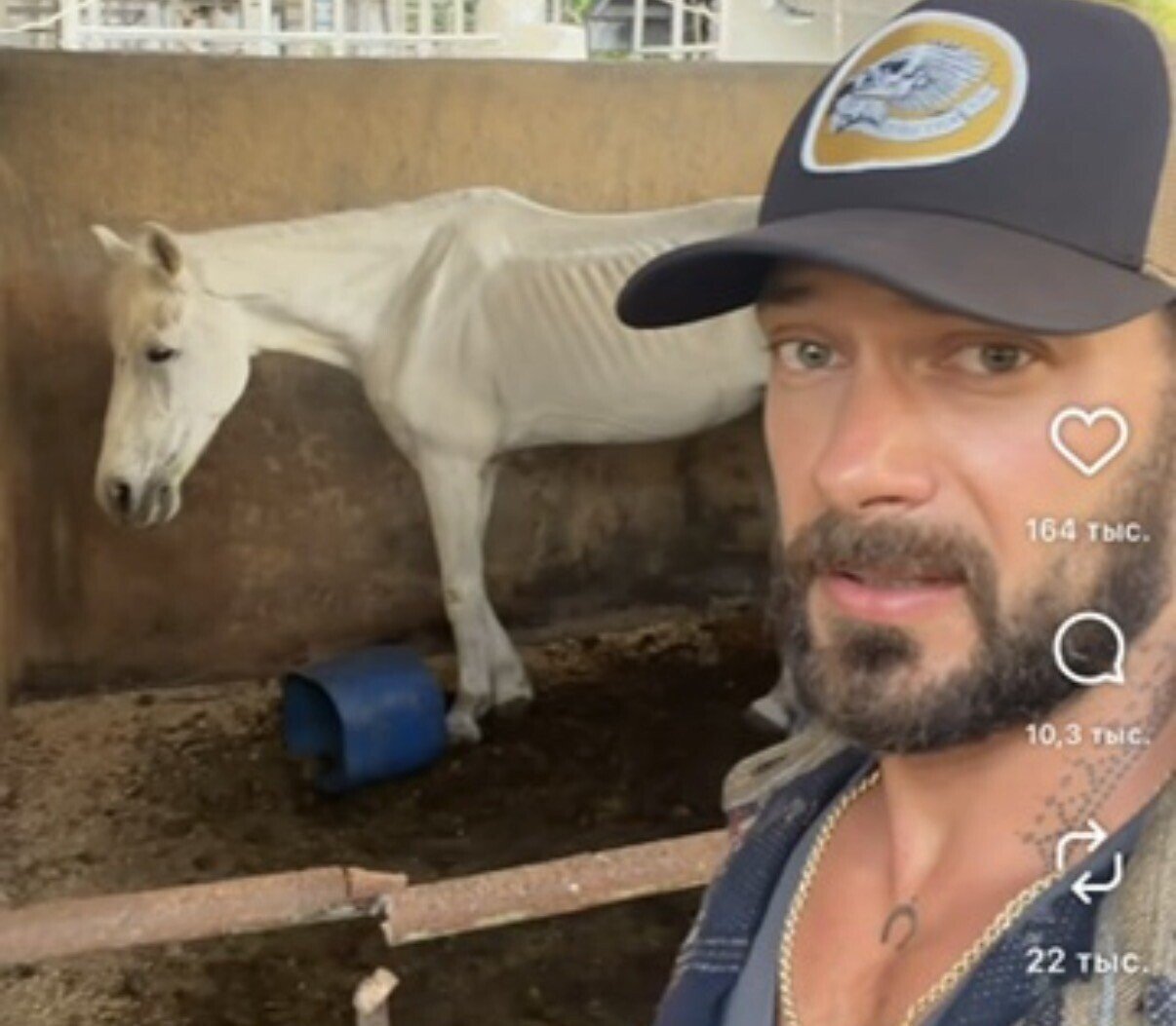 Bali Horse Dies After Viral Video Draws Public Attention