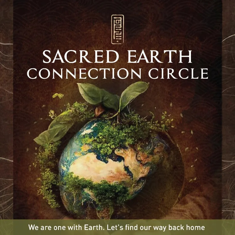 Meditation Sacred Earth: Connection Circle 3141