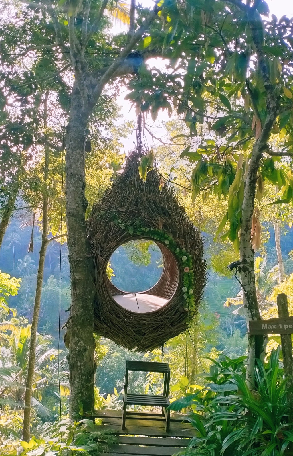 agrotourism-in-bali-luwak-coffee-plantations-bali-live