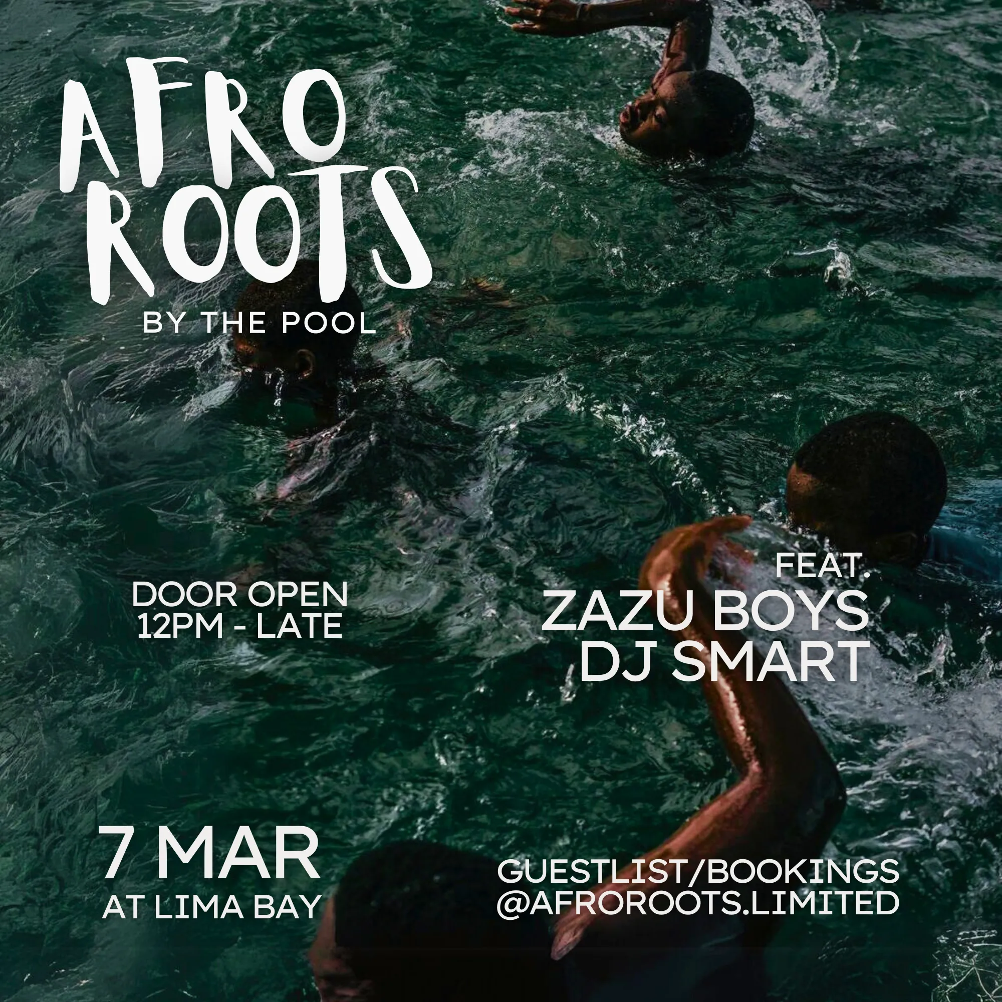 Party Afro Roots by The Pool 11639
