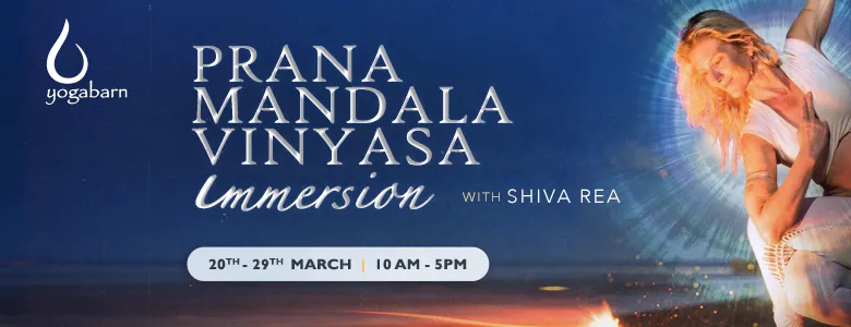 Health Rhythmic Prana Vinyasa Immersion w/ Shiva Rea 2234