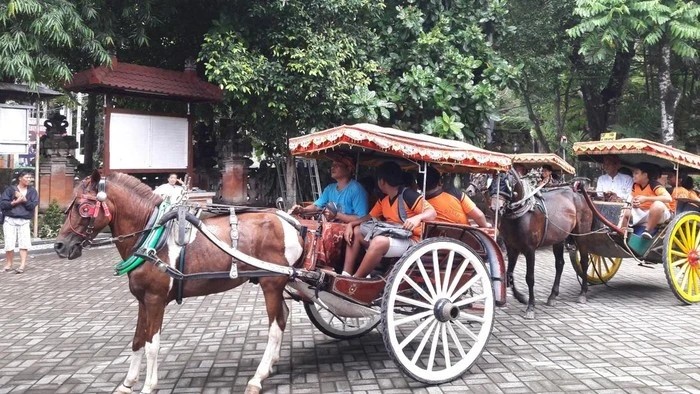 Free Horse Cart Rides Through Central Bali