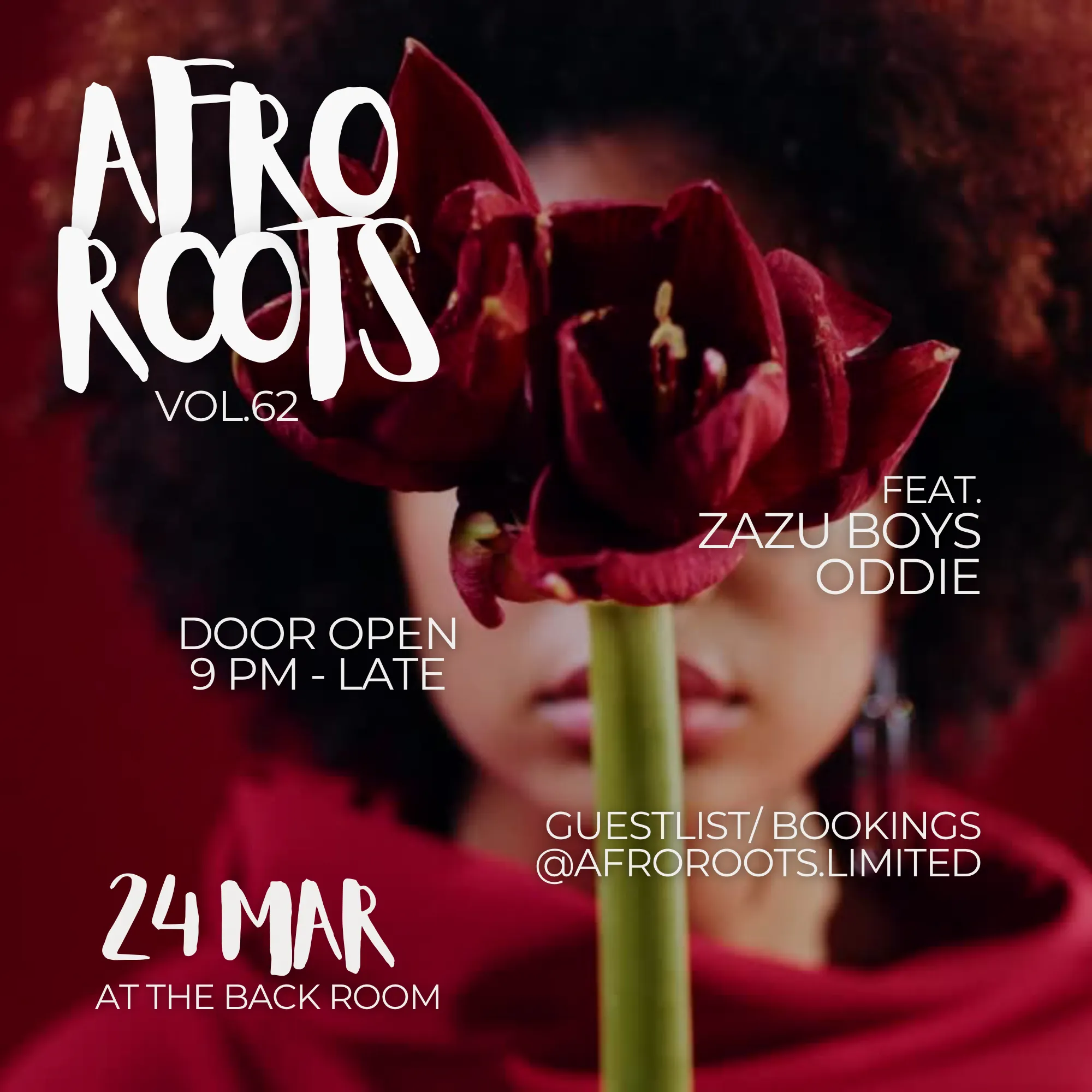 Party Afro Roots Vol.62 12100