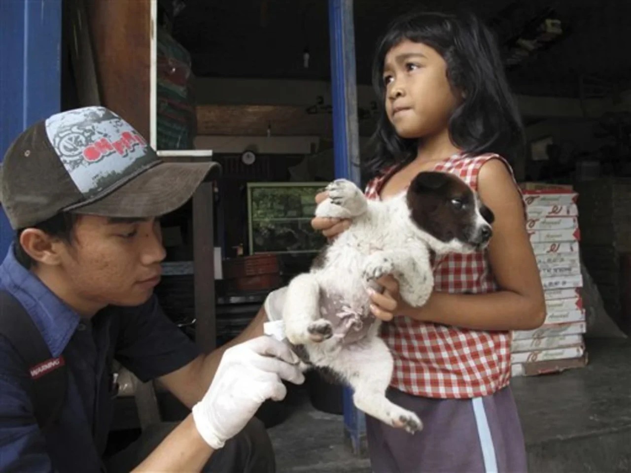 Mass Rabies Vaccination Start in Touristic Areas of Bali